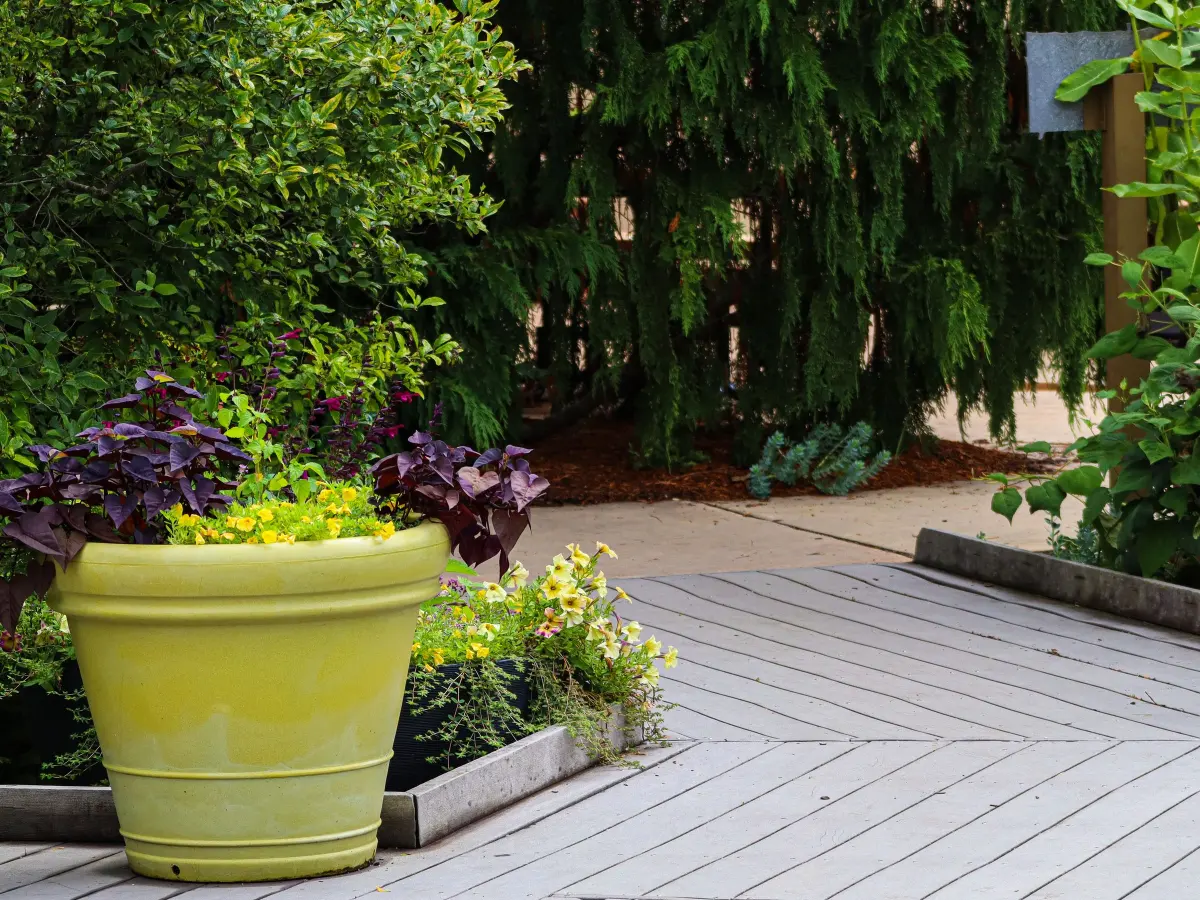 Rénovation de terrasse en bois à Antibes : terrasse en bois grisée, prête à être rénovée
